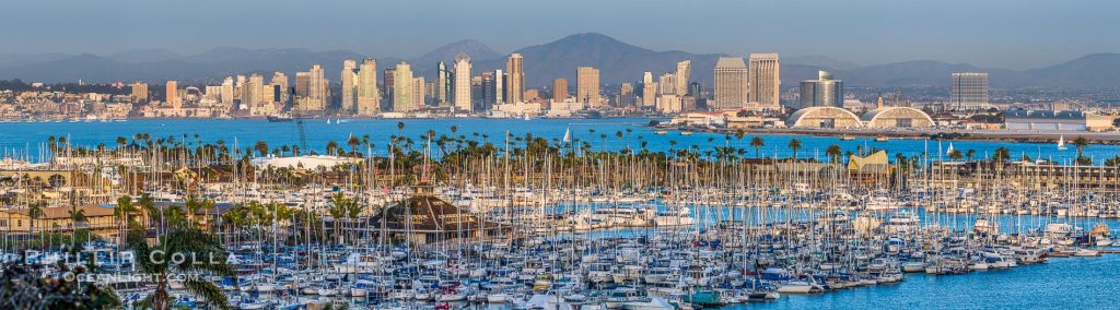 San Diego City Skyline viewed from Point Loma